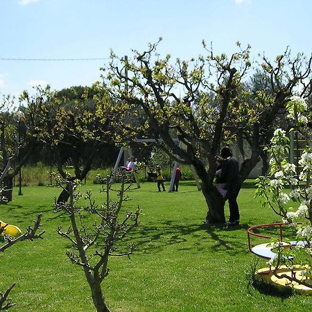 Agriturismo Arangea Lequile Kültér fotó