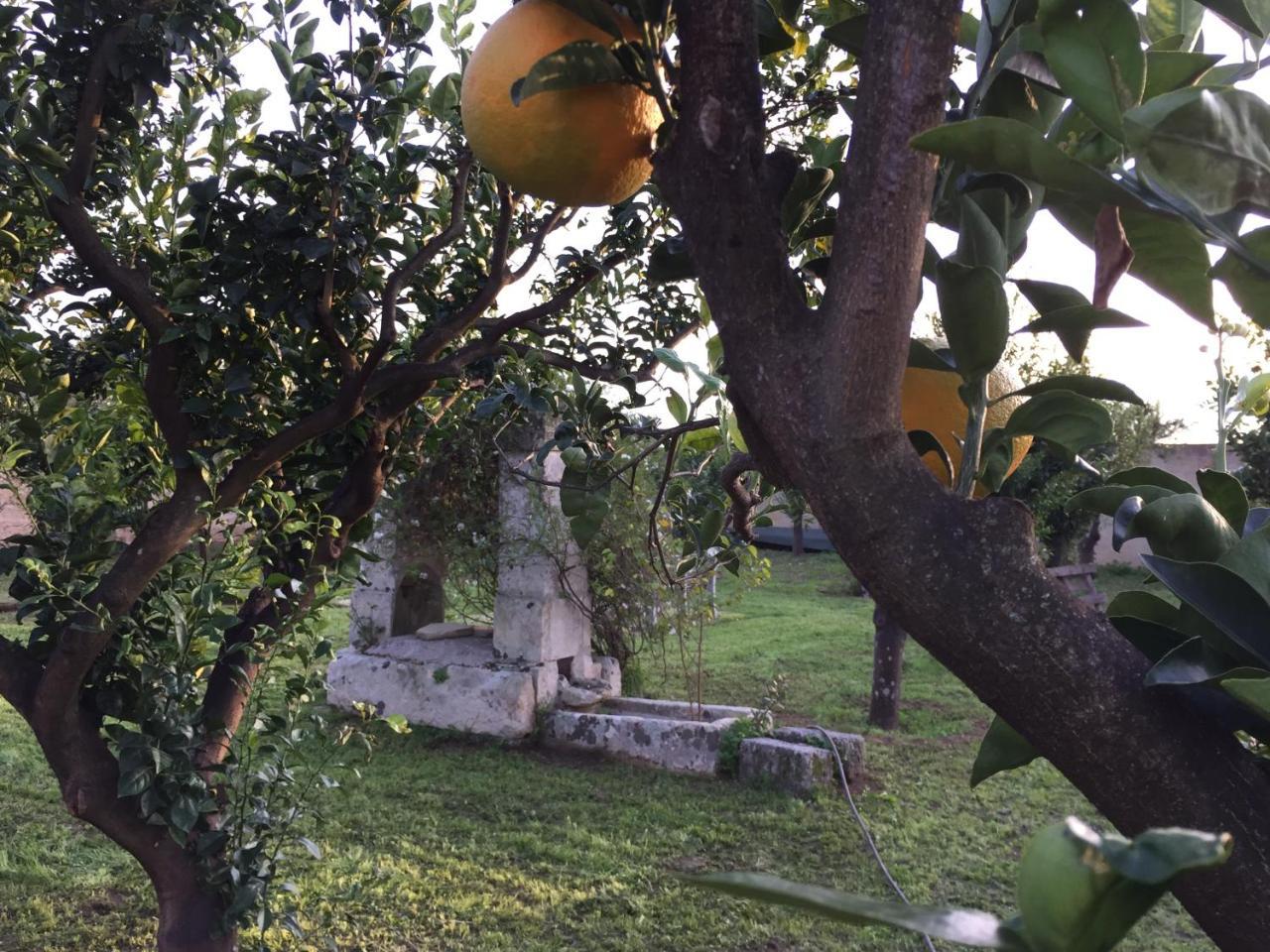 Agriturismo Arangea Lequile Kültér fotó